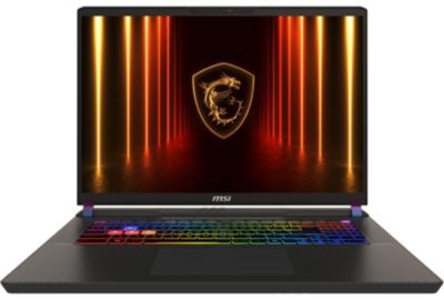 PC Gamer MSI Vector 17 HX AI A2XWIG-217FR