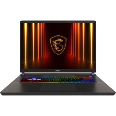 Location PC Gamer MSI Vector 17 HX AI A2XWHG-218FR