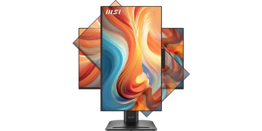 Ecran PC MSI PRO MP245PDG E14