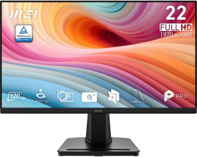 Ecran PC MSI PRO MP225 E12VL