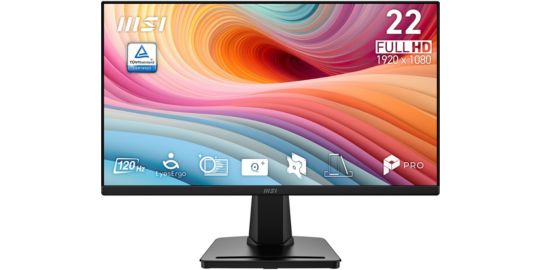 Ecran PC MSI PRO MP225 E12VL