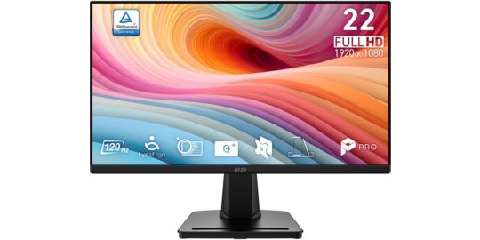 Ecran PC MSI PRO MP225 E12VL