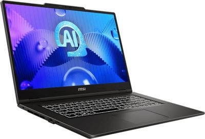 PC Gamer MSI Venture 17 AI A1MG-012FR