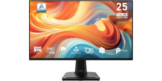 Ecran PC MSI PRO MP251 E14L