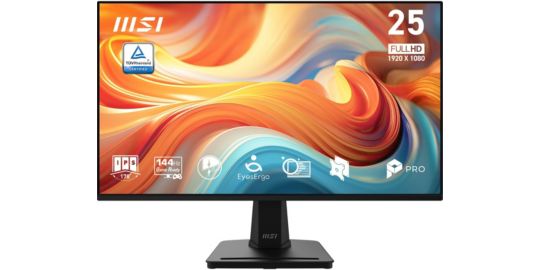 Ecran PC MSI PRO MP251 E14L