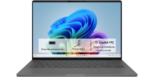 Ordinateur portable ASUS Zenbook UX3407QA-QD437W
