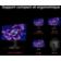 Location Ecran PC Gamer ASUS ROG XG27AQWMG 27 QHD 280Hz OLED HDR True Black 500 HDMI 2.1