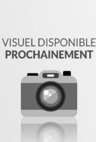 Mémoire vive SILICON POWER MEMSP00004