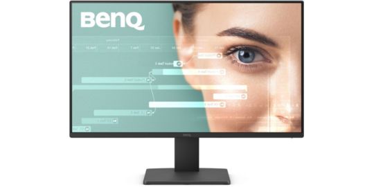 Ecran PC BENQ GW2491 24