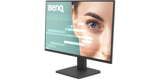 Ecran PC BENQ GW2491 24