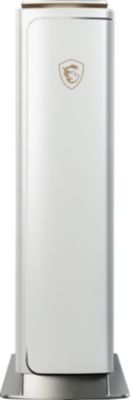 Unité centrale MSI Creator P100X 10SE-289FR Reconditionné