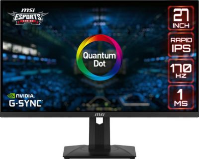 Ecran PC Gamer MSI G274QPF QD Reconditionné