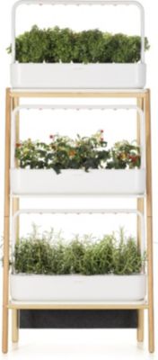 Jardin d'intérieur CLICK AND GROW Smart Garden 9 BT, blanc
