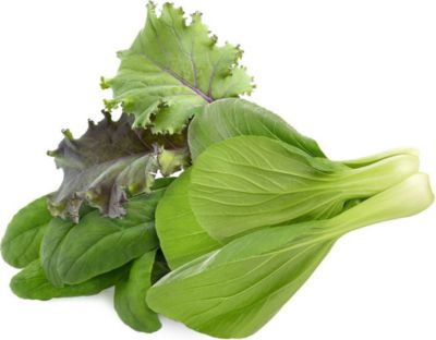 Coffret recharges jardin d'intérieur CLICK AND GROW Mélange de cuisine asiatique / pack de 9