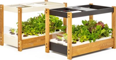 Jardin d'intérieur CLICK AND GROW Module principal 25, blanc