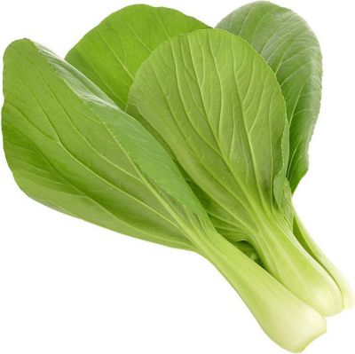 Coffret recharges jardin d'intérieur CLICK AND GROW Pak choï / pack de 3