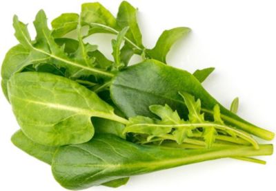 Coffret recharges jardin d'intérieur CLICK AND GROW Mélange de salades vertes / pack de 9