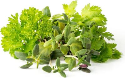 Coffret recharges jardin d'intérieur CLICK AND GROW Mélange pour steak / pack de 9