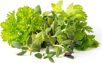 Coffret recharges jardin d'intérieur CLICK AND GROW Mélange pour steak / pack de 9