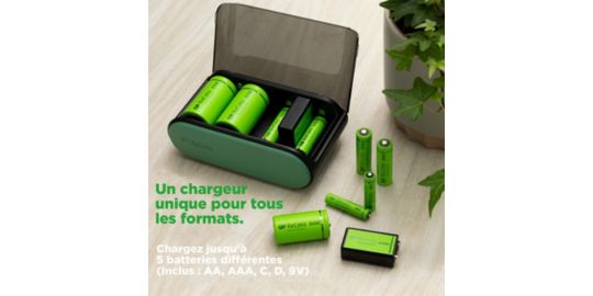 Chargeur GP UNIVERSEL USB - B631