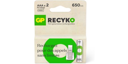 Pile rechargeable GP AAA ReCyckO+ lot de 2 650mAh