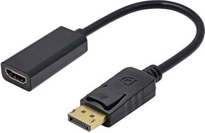 Adaptateur HOBBYTECH DisplayPort vers HDMI 1080 DPI Full HD