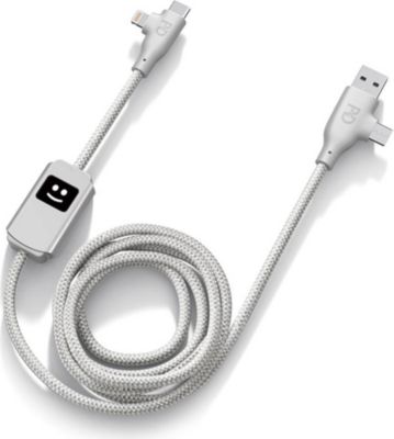 Câble USB XOOPAR XOOPAR Charge rapide 100W Allure Argent