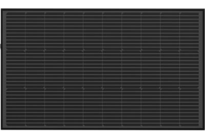 Panneau solaire ECOFLOW 2 Panneaux Solaire 100W