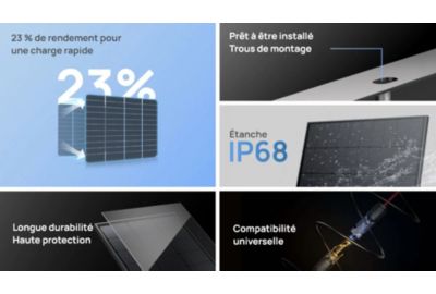 Panneau solaire ECOFLOW 2 Panneaux Solaire 100W