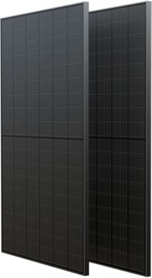 Panneau solaire ECOFLOW 2 Panneaux Solaire total 400W