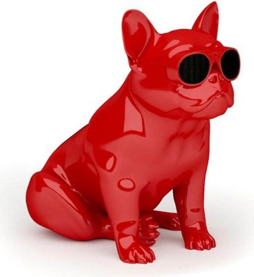 Enceinte Bluetooth JARRE Enceinte Bluetooth AeroBull XS1