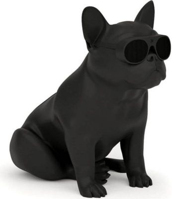 Enceinte Bluetooth JARRE Enceinte Bluetooth AeroBull XS1