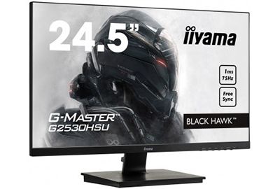Ecran IIYAMA G-Master G2530HSU-B1