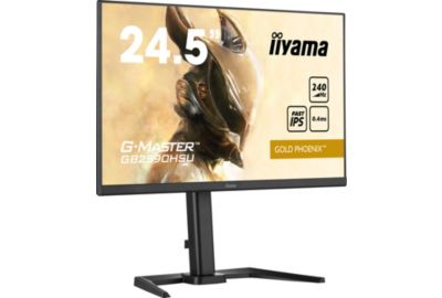 Ecran PC Gamer IIYAMA G-MASTER GB2590HSU-B5 24