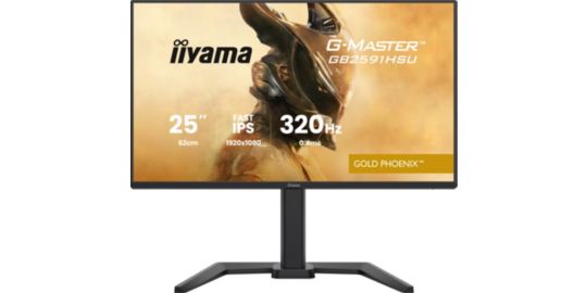Ecran PC Gamer IIYAMA G-Master Gold Phoenix Noir Fast IPS 24