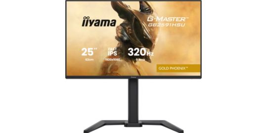 Ecran PC Gamer IIYAMA G-Master Gold Phoenix Noir Fast IPS 24