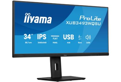 Ecran PC IIYAMA 34