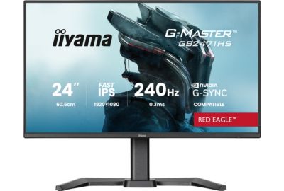 Ecran PC Gamer IIYAMA 24