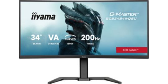Ecran PC Gamer IIYAMA G-Master Red Eagle VA 34