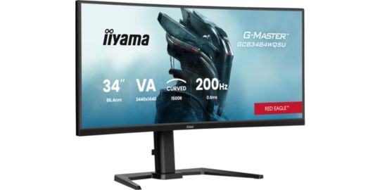 Ecran PC Gamer IIYAMA G-Master Red Eagle VA 34