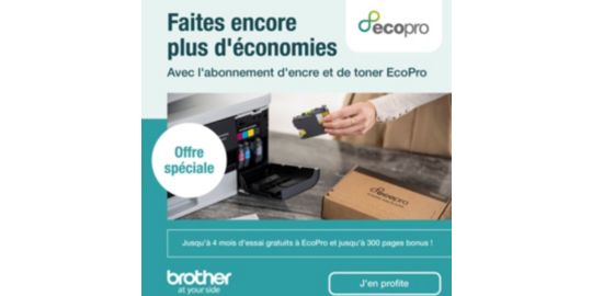 Imprimante multifonction BROTHER DCP-L1642W