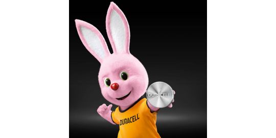 Pile Duracell 2430 X2