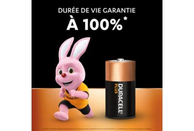 Pile Duracell C X2 PLUS