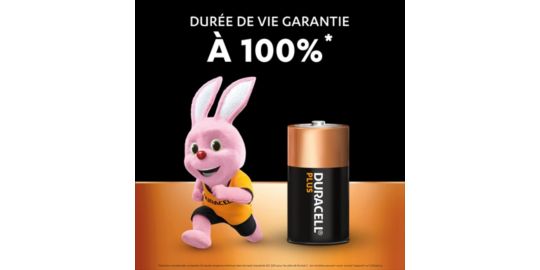 Pile Duracell C X2 PLUS