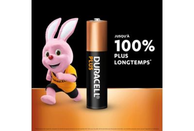 Pile DURACELL plus AAA x24