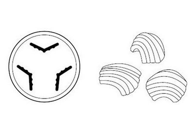 Filière KENWOOD AT910 011 Filière pour Conchigliette