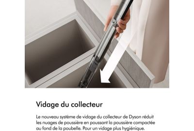 Aspirateur balai DYSON PencilVac Fluffycones