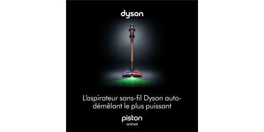 Aspirateur balai DYSON V8 Cyclone