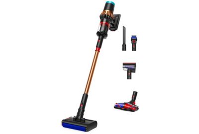 Aspirateur balai DYSON Piston Animal Submarine