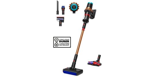 Aspirateur balai DYSON Piston Animal Submarine